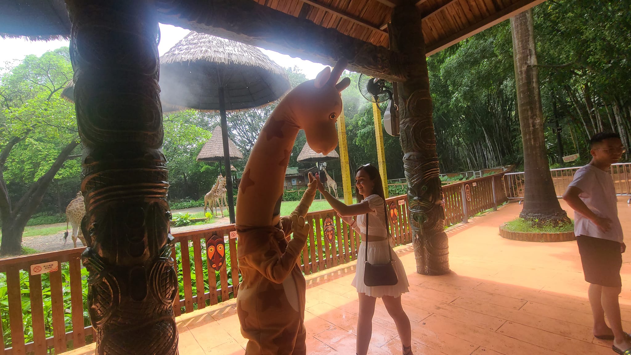 Cute Girl gives High 5 to a Giraff at the Zoo in China